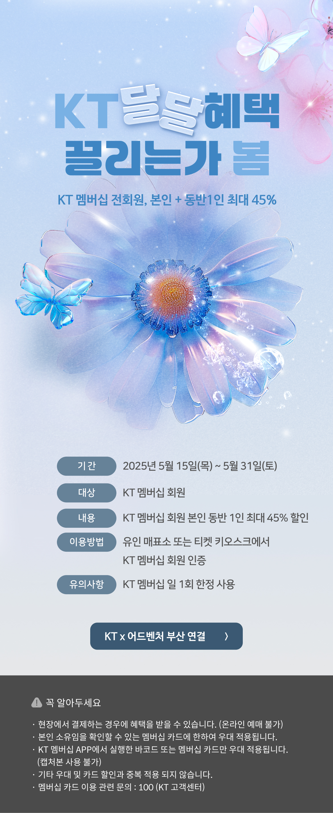봄 사랑 벚꽃 말고 KT